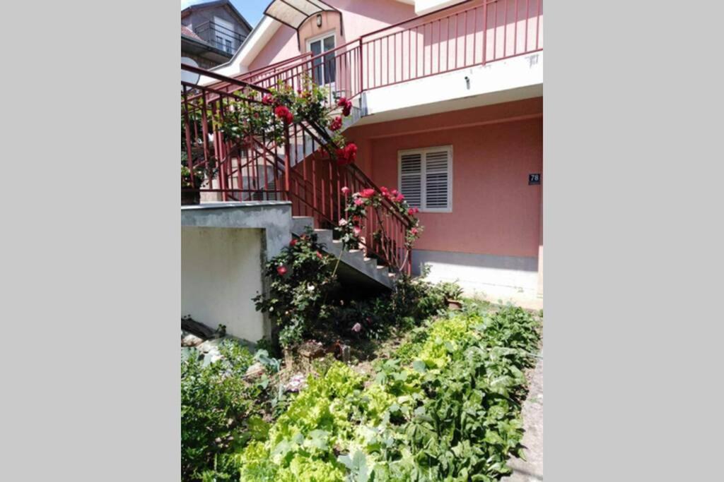 Apartman Danica Херцег Нови Екстериор снимка